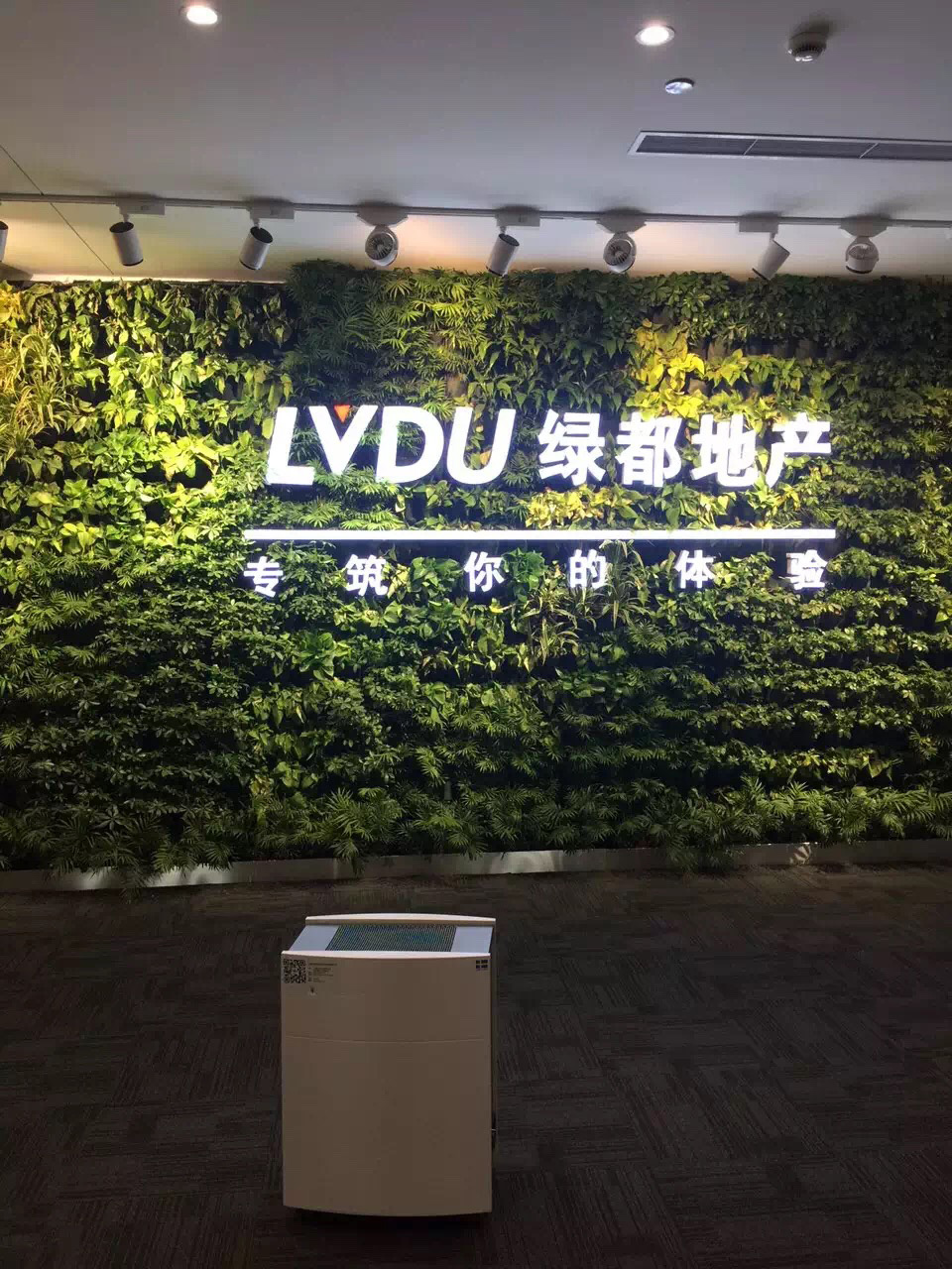 什么能够除甲醛,凡斯除甲醛都用了什么方法