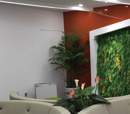 办公环境甲醛变成了看不见的健康慢性杀手