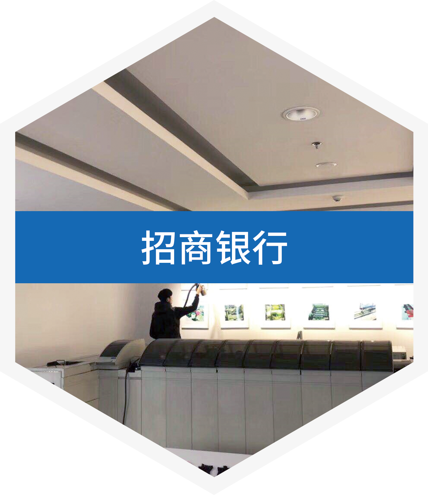 家中除甲醛公司
