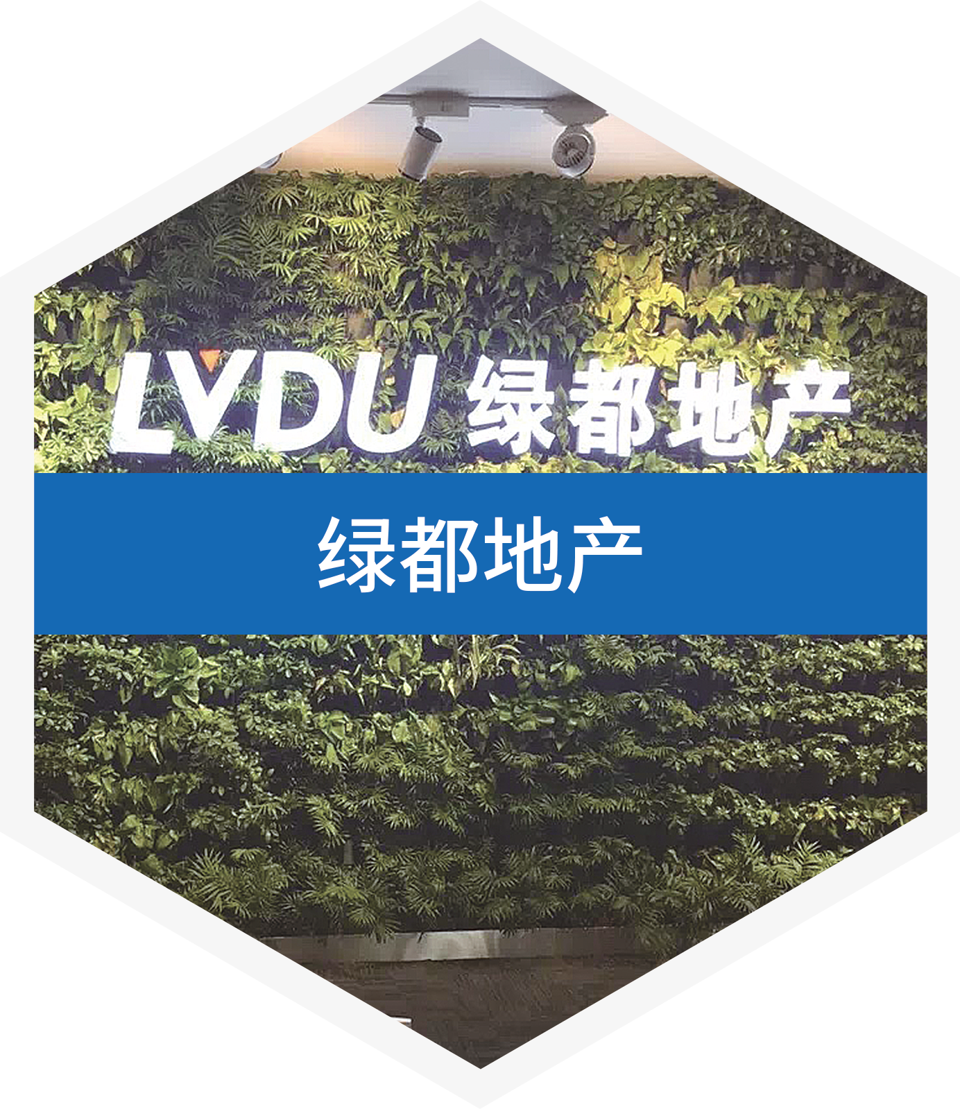 除甲醛品牌公司靠谱吗